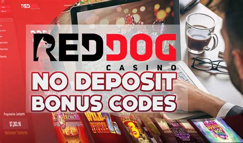 casino bonus code